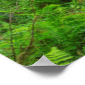 Olympischer Nationalpark, Waldweg Poster (Ecke)