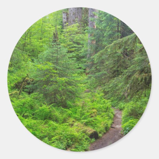 Olympischer Nationalpark, Waldweg Runder Aufkleber (Vorderseite)