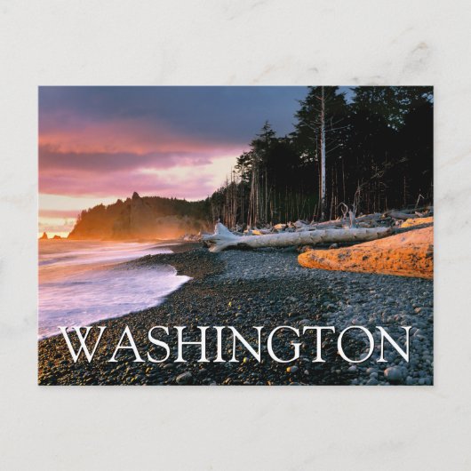 Olympischer Nationalpark | Washington Staat Vielen Postkarte (Vorderseite)
