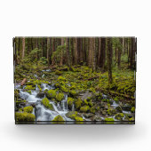Olympischer Nationalpark, Washingtoner Staat Fotoblock (Vorderseite)