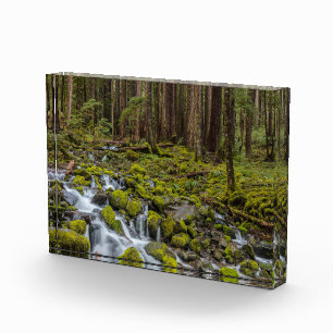 Olympischer Nationalpark, Washingtoner Staat Fotoblock