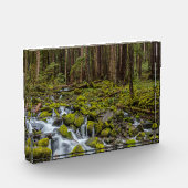 Olympischer Nationalpark, Washingtoner Staat Fotoblock (Links)