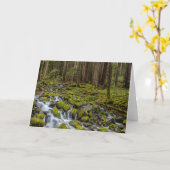 Olympischer Nationalpark, Washingtoner Staat Karte (Gelbe Blume)