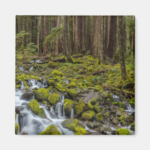 Olympischer Nationalpark, Washingtoner Staat Magnet