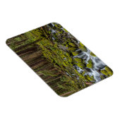 Olympischer Nationalpark, Washingtoner Staat Magnet (Rechte Seite)