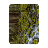 Olympischer Nationalpark, Washingtoner Staat Magnet (Vertikal)