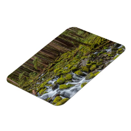 Olympischer Nationalpark, Washingtoner Staat Magnet (Linke Seite)