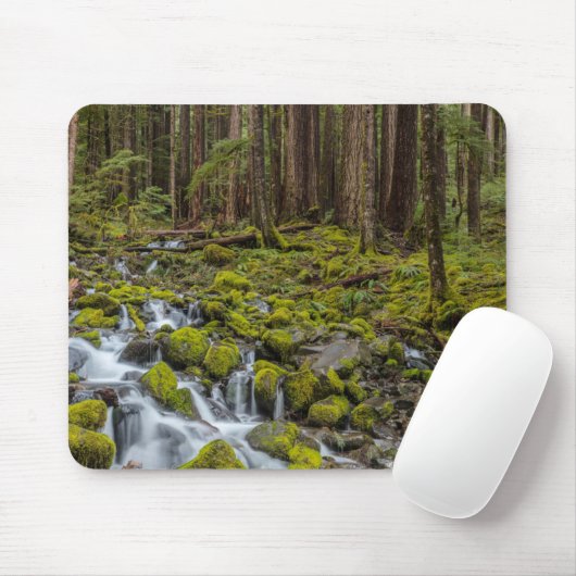 Olympischer Nationalpark, Washingtoner Staat Mousepad (Mit Mouse)