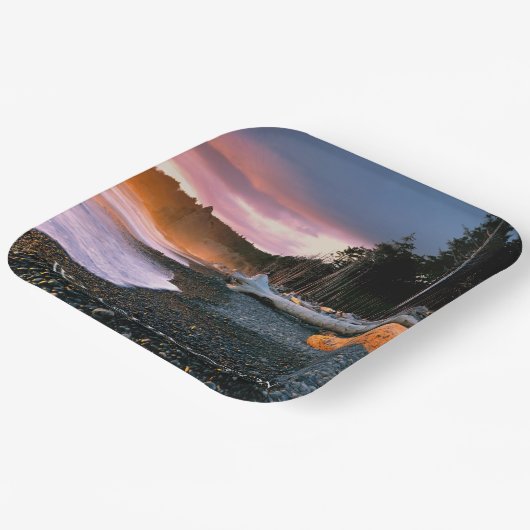 Olympischer Nationalpark | Washingtoner Staat Pappteller (Gewinkelt)