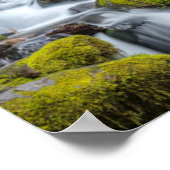 Olympischer Nationalpark, Washingtoner Staat Poster (Ecke)