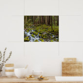 Olympischer Nationalpark, Washingtoner Staat Poster (Küche)