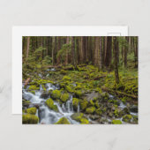 Olympischer Nationalpark, Washingtoner Staat Postkarte (Vorne/Hinten)