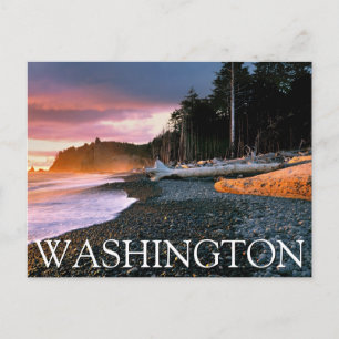 Olympischer Nationalpark   Washingtoner Staat Postkarte