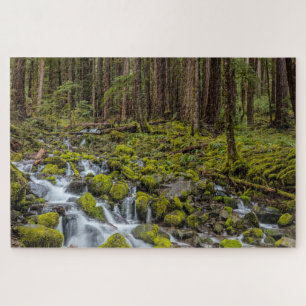 Olympischer Nationalpark, Washingtoner Staat Puzzle