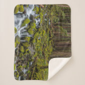 Olympischer Nationalpark, Washingtoner Staat Sherpadecke (Vorderseite)