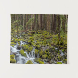 Olympischer Nationalpark, Washingtoner Staat Wandteppich