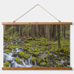 Olympischer Nationalpark, Washingtoner Staat Wandteppich Mit Holzrahmen