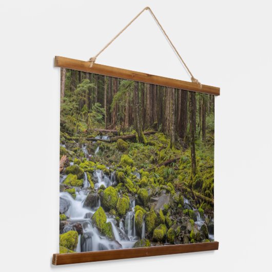 Olympischer Nationalpark, Washingtoner Staat Wandteppich Mit Holzrahmen (Gewinkelt)