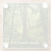 Olympisches Foto im Nationalpark Rainforest Glasuntersetzer (Rückseite)