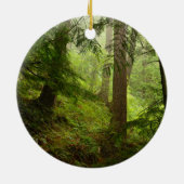 Olympisches Foto im Nationalpark Rainforest Keramik Ornament (Hinten)