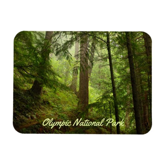 Olympisches Foto im Nationalpark Rainforest Magnet (Horizontal)