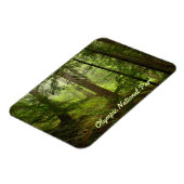 Olympisches Foto im Nationalpark Rainforest Magnet (Linke Seite)