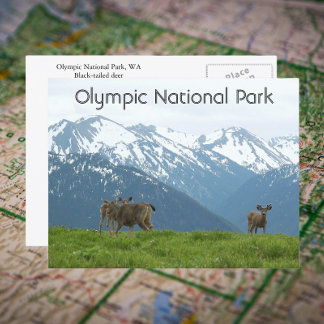 Olympisches Foto Nationalpark Wildlife Postkarte