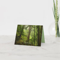 Olympisches Rainforest Foto