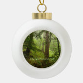 Olympisches Rainforest Foto Ornament (Vorderseite)