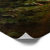 Olympisches Regenwald Evergeens und Mist-Foto Poster (Ecke)