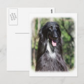 OM017D-119 POSTKARTE (Vorne/Hinten)
