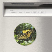 OM- Gelbes Frack Schmetterling-Magnet Magnet (In Situ (Geschirrspüler))