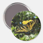 OM- Gelbes Frack Schmetterling-Magnet Magnet (Vorderseite/Rückseite)