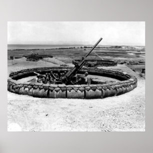 OM Gewehr auf Okinawa Poster