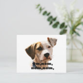 Om, nom, nom, nom, postkarte (Stehend Vorderseite)