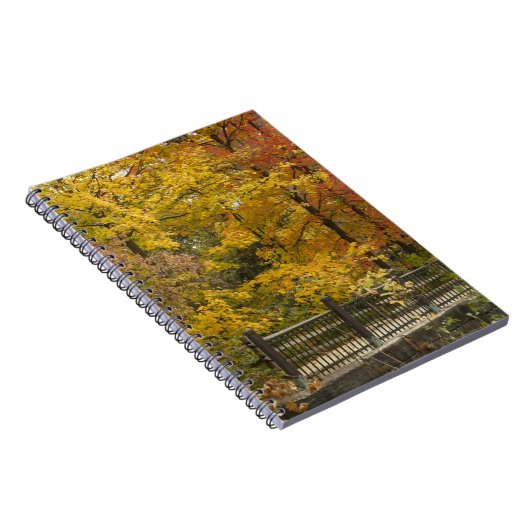 Om Notizblock (Rechte Seite)