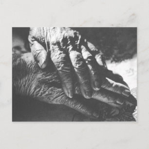 Oma Hands Postkarte