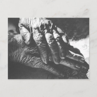 Oma Hands Postkarte