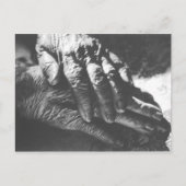 Oma Hands Postkarte (Vorderseite)