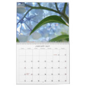 Oma liebt Hortensien-Gartenkalender Kalender (Jan 2027)
