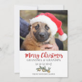 Oma Opa Weihnachten vom Hund (Vorderseite)