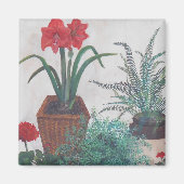 Oma-Pflanze Magnet (Vorne)