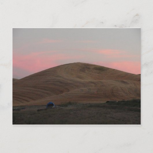 Omache Farm Sunset Postkarte (Vorderseite)