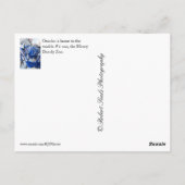 Omaha, NE Postkarte (Rückseite)