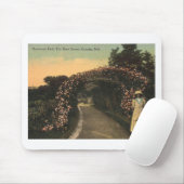 Omaha Nebraska 1913 Hanscom Park Vintag Mousepad (Mit Mouse)