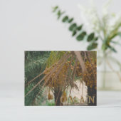 Oman Dattelpalme Postkarte (Stehend Vorderseite)