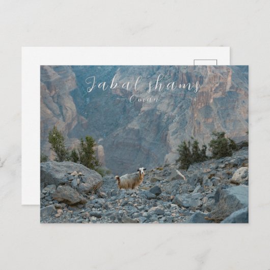 Oman Jabal Shams Postcard Postkarte (Vorne/Hinten)