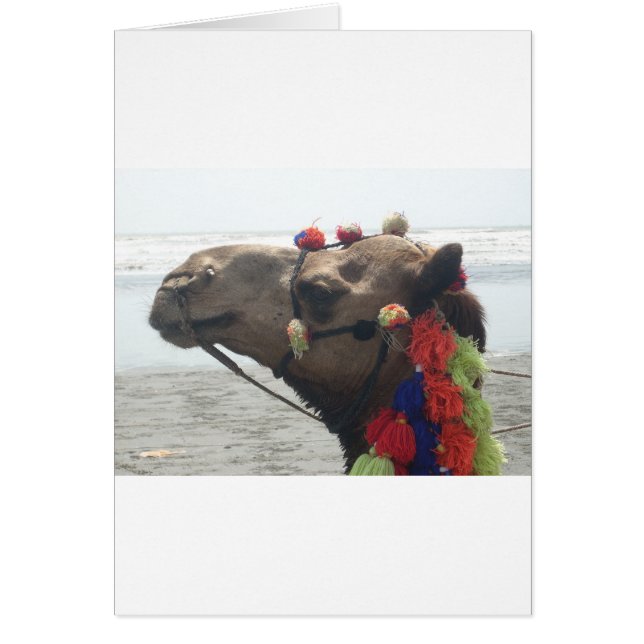 Oman! Maskat (Vorne)