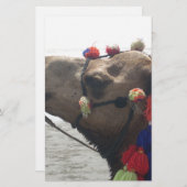 Oman Muscat Camel Foto Art Print Briefpapier (Vorne/Hinten)