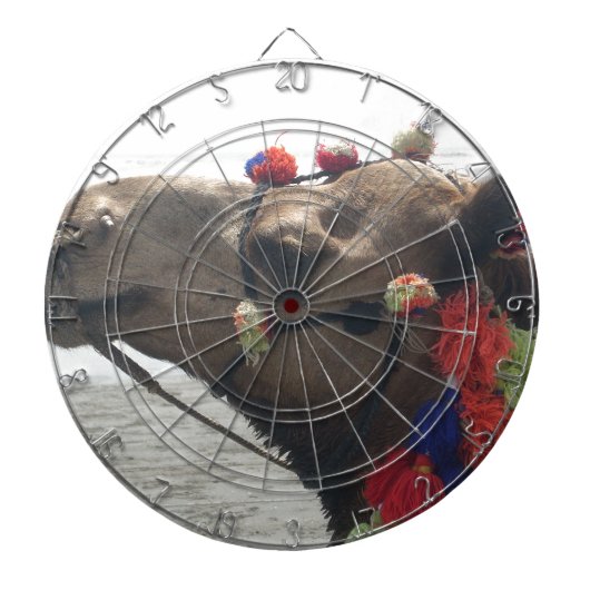 Oman Muscat Camel Foto Art Print Dartscheibe (vorne)